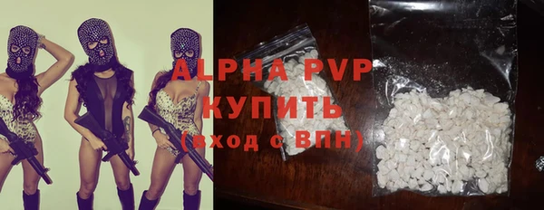хмурый Алексин