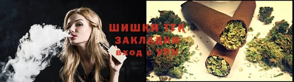 хмурый Гатчина