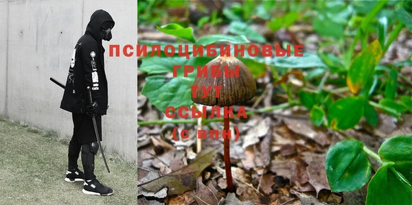 СК Арсеньев